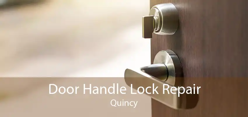 Door Handle Lock Repair Quincy