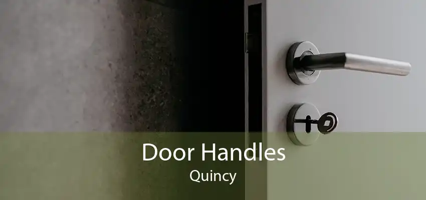 Door Handles Quincy