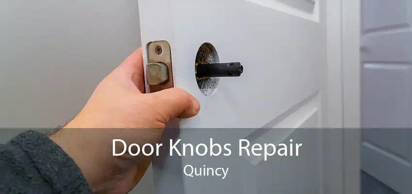 Door Knobs Repair Quincy