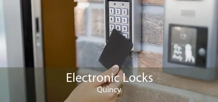 Electronic Locks Quincy