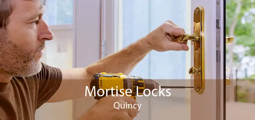Mortise Locks Quincy