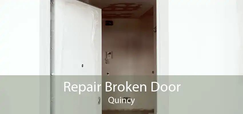 Repair Broken Door Quincy